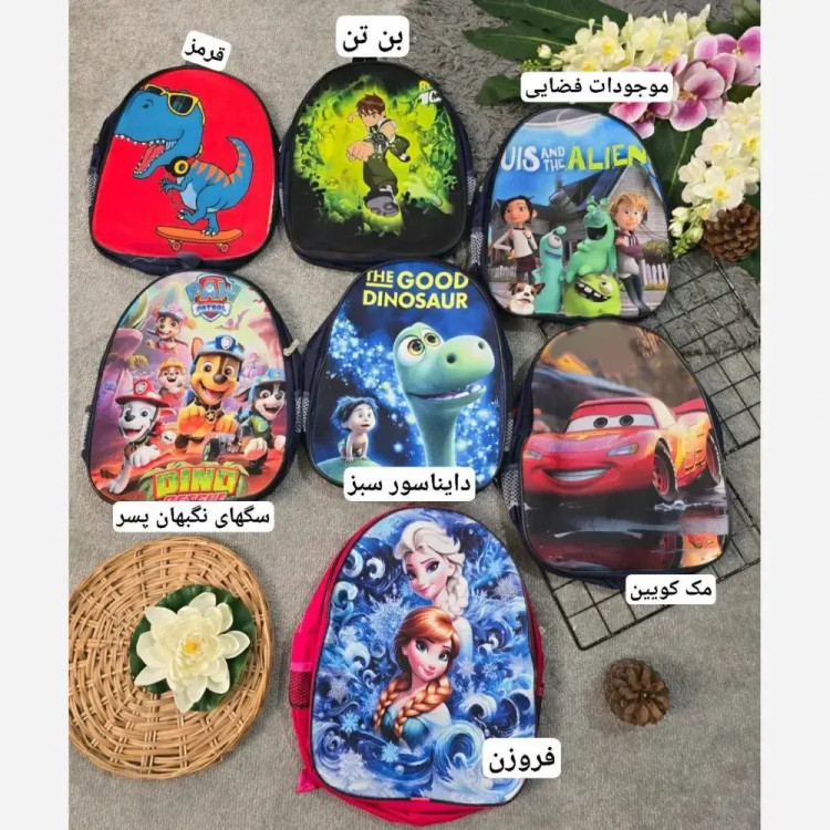 کوله پشتی دبستانی برزنتی دو زیپ طرح فانتزی